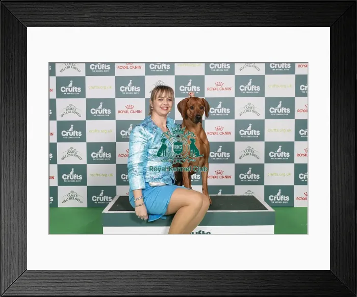 Framed Print : D-C-D-0-1-9-0 Crufts 2024 NEC Birmingham Hound Framed Print : D-C-D-0-1-9-0 Crufts 2024 NEC Birmingham Hound