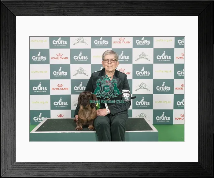 Framed Print : D-C-D-0-1-9-0 Crufts 2024 NEC Birmingham Hound Framed Print : D-C-D-0-1-9-0 Crufts 2024 NEC Birmingham Hound