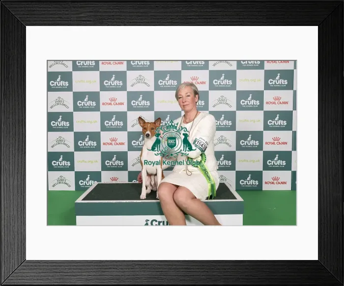 Framed Print : D-C-D-0-1-9-0 Crufts 2024 NEC Birmingham Hound