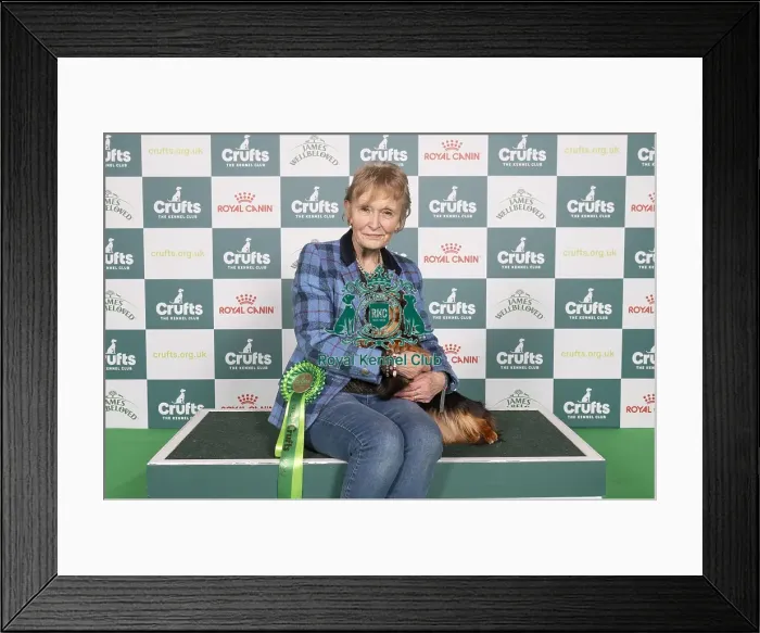Framed Print : D-C-D-0-1-9-0 Crufts 2024 NEC Birmingham Hound