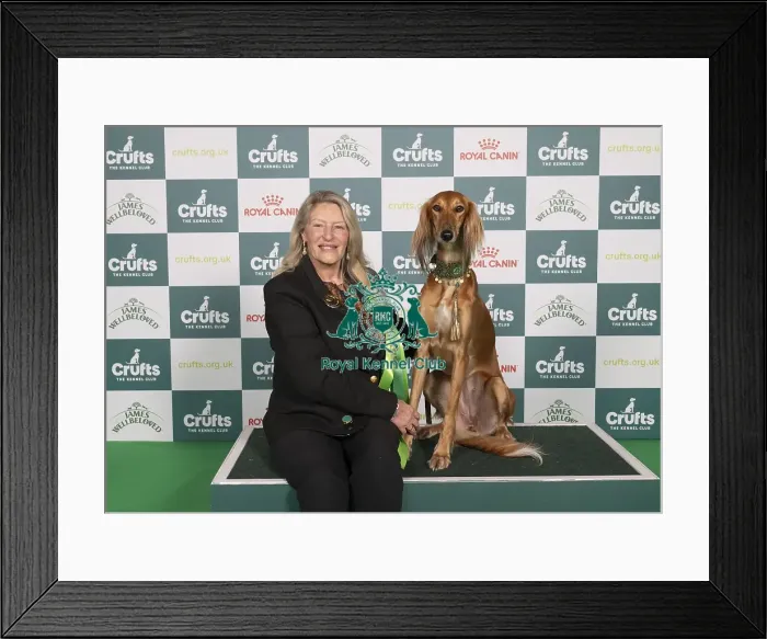 Framed Print : D-C-D-0-1-9-0 Crufts 2024 NEC Birmingham Hound Framed Print : D-C-D-0-1-9-0 Crufts 2024 NEC Birmingham Hound