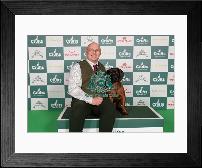 Framed Print : D-C-D-0-1-9-0 Crufts 2024 NEC Birmingham Hound Framed Print : D-C-D-0-1-9-0 Crufts 2024 NEC Birmingham Hound
