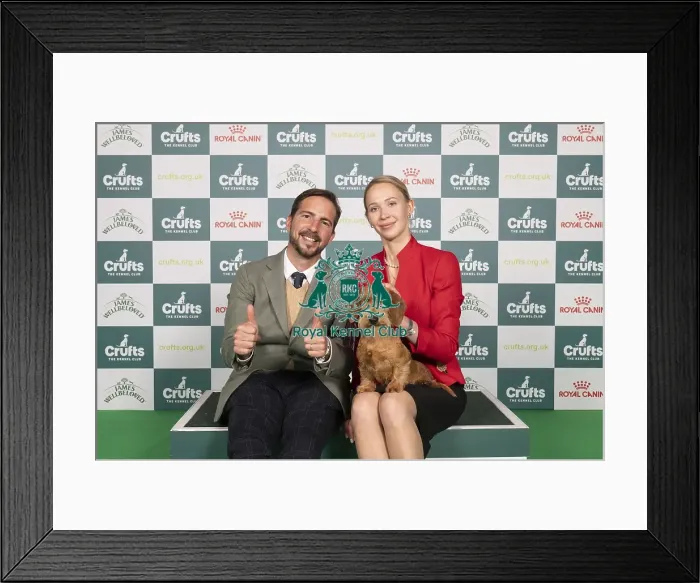 Framed Print : D-C-D-0-1-9-0 Crufts 2024 NEC Birmingham Hound