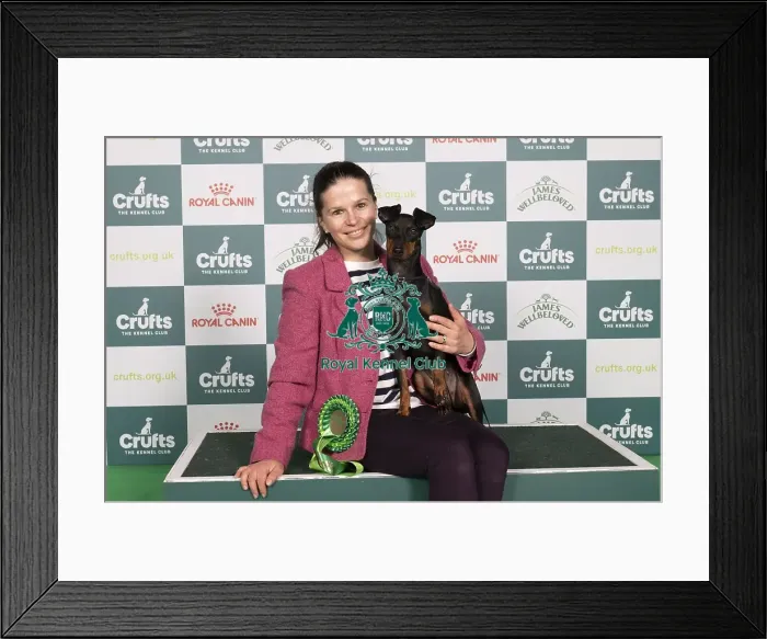 Framed Print : D-C-D-0-1-9-0 Crufts 2024 NEC Birmingham Terrier Framed Print : D-C-D-0-1-9-0 Crufts 2024 NEC Birmingham Terrier