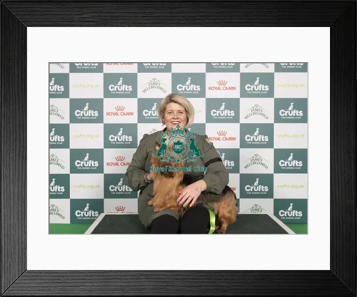 Framed Print : D-C-D-0-1-9-0 Crufts 2024 NEC Birmingham Terrier Framed Print : D-C-D-0-1-9-0 Crufts 2024 NEC Birmingham Terrier