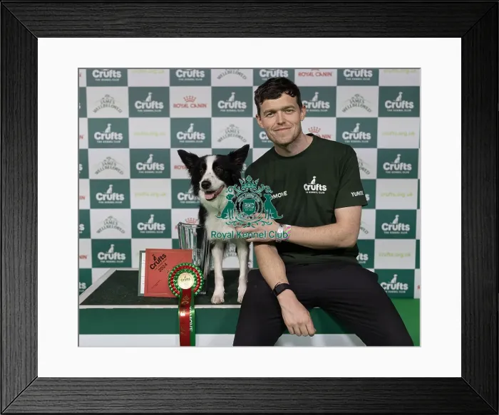 Framed Print : D-C-D-0-1-9-0 Crufts 2024 NEC Birmingham Day 4 Framed Print : D-C-D-0-1-9-0 Crufts 2024 NEC Birmingham Day 4