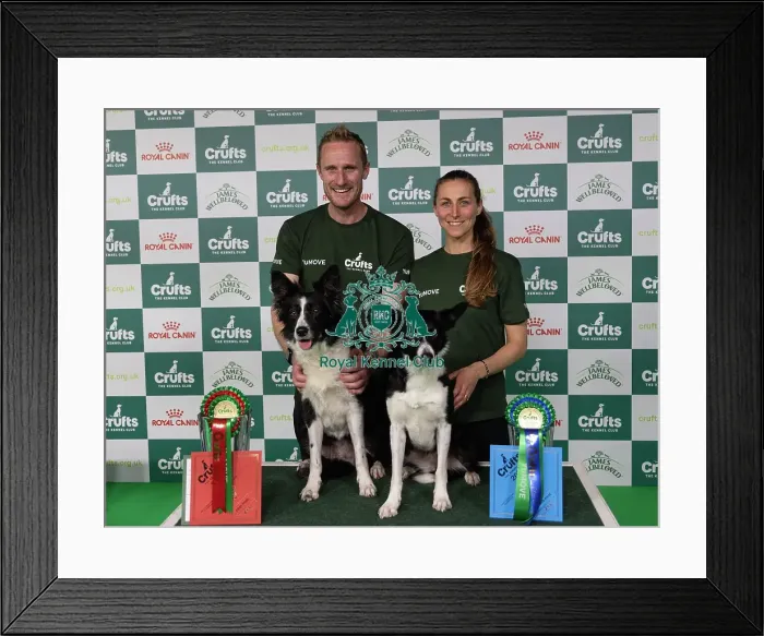 Framed Print : D-C-D-0-1-9-0 Crufts 2024 NEC Birmingham Day 4 Framed Print : D-C-D-0-1-9-0 Crufts 2024 NEC Birmingham Day 4