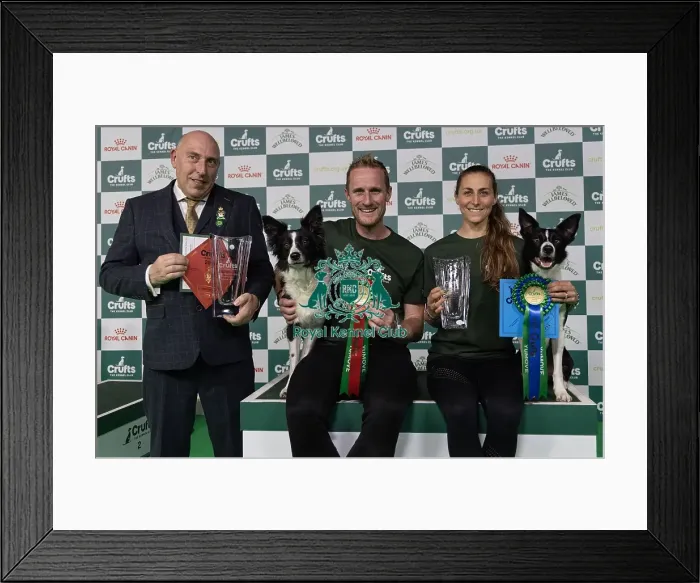 Framed Print : D-C-D-0-1-9-0 Crufts 2024 NEC Birmingham Day 4 Framed Print : D-C-D-0-1-9-0 Crufts 2024 NEC Birmingham Day 4