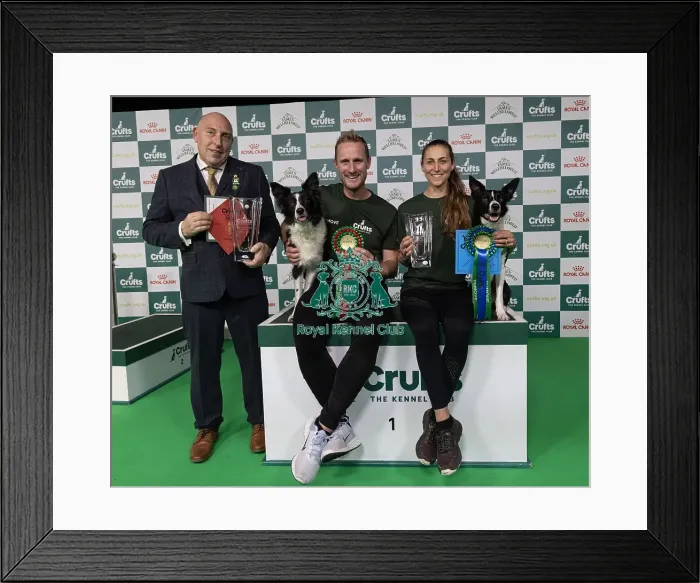 Framed Print : D-C-D-0-1-9-0 Crufts 2024 NEC Birmingham Day 4 Framed Print : D-C-D-0-1-9-0 Crufts 2024 NEC Birmingham Day 4