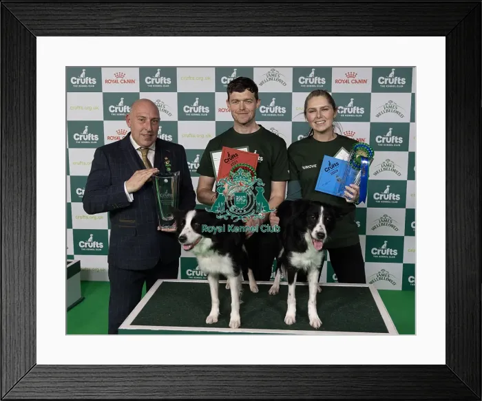 Framed Print : D-C-D-0-1-9-0 Crufts 2024 NEC Birmingham Day 4 Framed Print : D-C-D-0-1-9-0 Crufts 2024 NEC Birmingham Day 4