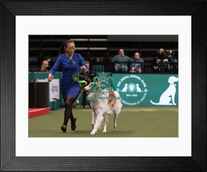 Framed Print : D-C-D-0-1-9-0 Crufts 2024 NEC Birmingham Pastoral Framed Print : D-C-D-0-1-9-0 Crufts 2024 NEC Birmingham Pastoral