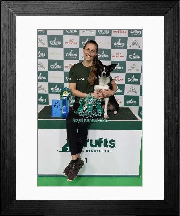 Framed Print : D-C-D-0-1-9-0 Crufts 2024 NEC Birmingham Day 4 Framed Print : D-C-D-0-1-9-0 Crufts 2024 NEC Birmingham Day 4