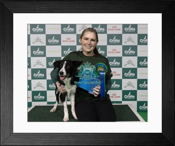 Framed Print : D-C-D-0-1-9-0 Crufts 2024 NEC Birmingham Day 4 Framed Print : D-C-D-0-1-9-0 Crufts 2024 NEC Birmingham Day 4