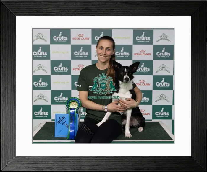 Framed Print : D-C-D-0-1-9-0 Crufts 2024 NEC Birmingham Day 4 Framed Print : D-C-D-0-1-9-0 Crufts 2024 NEC Birmingham Day 4