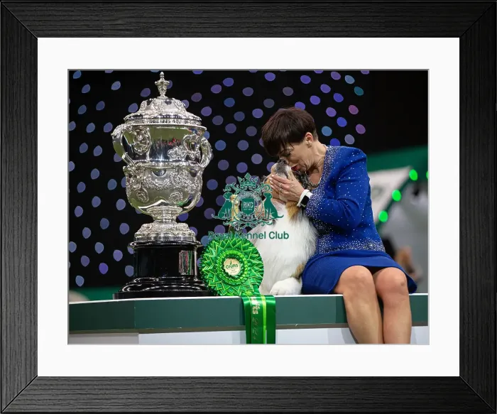 Framed Print : D-C-D-0-1-9-0 Crufts 2024 NEC Birmingham Terrier Framed Print : D-C-D-0-1-9-0 Crufts 2024 NEC Birmingham Terrier
