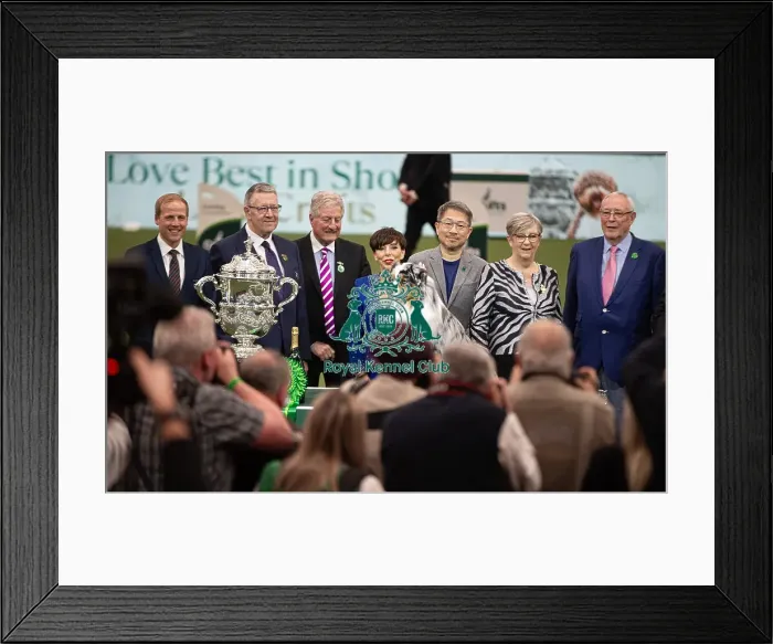 Framed Print : D-C-D-0-1-9-0 Crufts 2024 NEC Birmingham Terrier Framed Print : D-C-D-0-1-9-0 Crufts 2024 NEC Birmingham Terrier