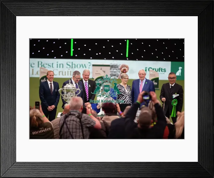 Framed Print : D-C-D-0-1-9-0 Crufts 2024 NEC Birmingham Terrier Framed Print : D-C-D-0-1-9-0 Crufts 2024 NEC Birmingham Terrier