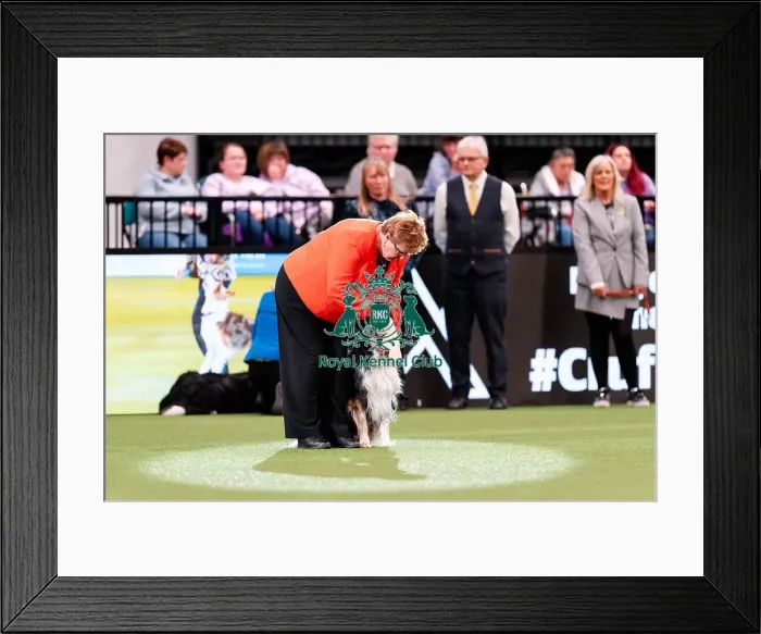 Framed Print : D-C-D-0-1-9-0 Crufts 2024 NEC Birmingham Pastoral Framed Print : D-C-D-0-1-9-0 Crufts 2024 NEC Birmingham Pastoral