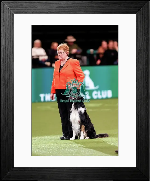 Framed Print : D-C-D-0-1-9-0 Crufts 2024 NEC Birmingham Pastoral Framed Print : D-C-D-0-1-9-0 Crufts 2024 NEC Birmingham Pastoral