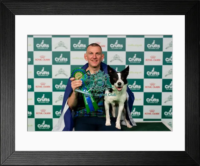 Framed Print : D-C-D-0-1-9-0 Crufts 2024 NEC Birmingham Day 3 Framed Print : D-C-D-0-1-9-0 Crufts 2024 NEC Birmingham Day 3