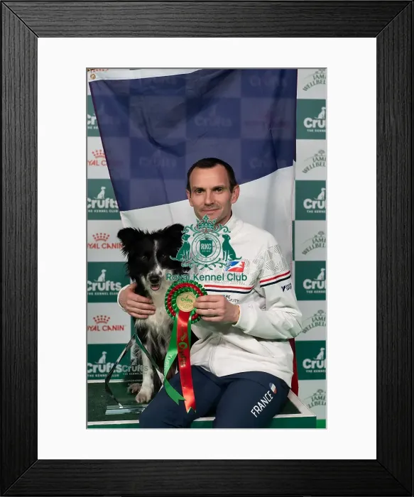 Framed Print : D-C-D-0-1-9-0 Crufts 2024 NEC Birmingham Day 3 Framed Print : D-C-D-0-1-9-0 Crufts 2024 NEC Birmingham Day 3