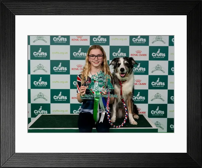 Framed Print : D-C-D-0-1-9-0 Crufts 2024 NEC Birmingham Day 3 Framed Print : D-C-D-0-1-9-0 Crufts 2024 NEC Birmingham Day 3