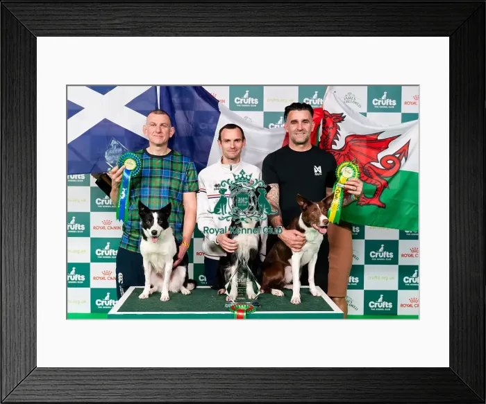 Framed Print : D-C-D-0-1-9-0 Crufts 2024 NEC Birmingham Day 3 Framed Print : D-C-D-0-1-9-0 Crufts 2024 NEC Birmingham Day 3