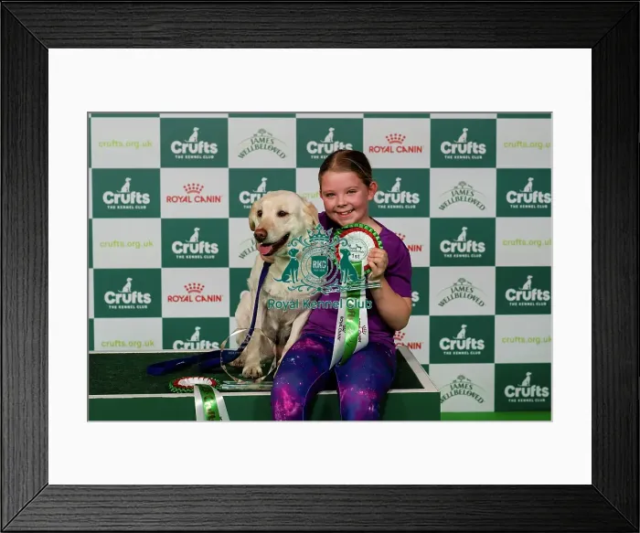 Framed Print : D-C-D-0-1-9-0 Crufts 2024 NEC Birmingham Day 3 Framed Print : D-C-D-0-1-9-0 Crufts 2024 NEC Birmingham Day 3