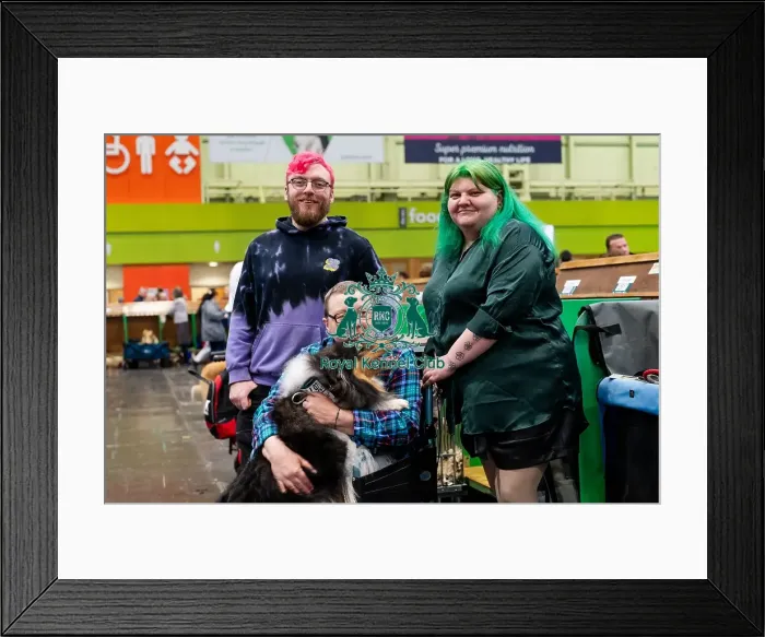 Framed Print : D-C-D-0-1-9-0 Crufts 2024 NEC Birmingham Day 2