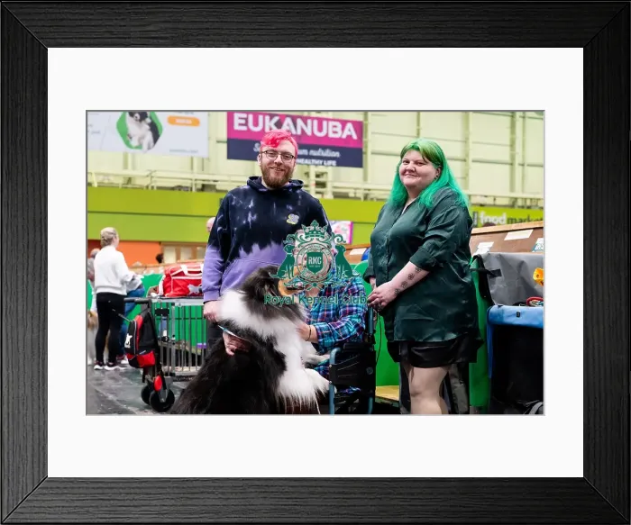Framed Print : D-C-D-0-1-9-0 Crufts 2024 NEC Birmingham Day 3
