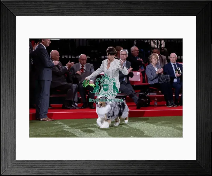 Framed Print : D-C-D-0-1-9-0 Crufts 2024 NEC Birmingham Pastoral Framed Print : D-C-D-0-1-9-0 Crufts 2024 NEC Birmingham Pastoral