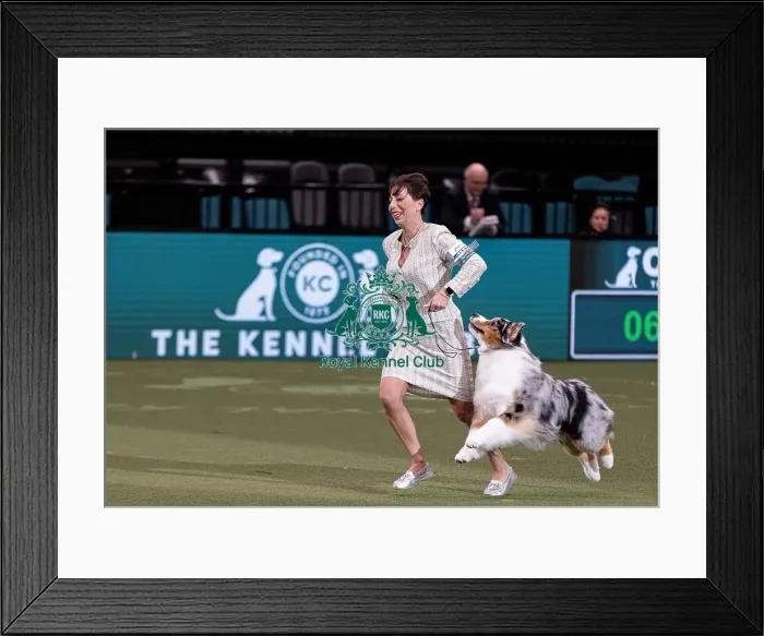 Framed Print : D-C-D-0-1-9-0 Crufts 2024 NEC Birmingham Pastoral Framed Print : D-C-D-0-1-9-0 Crufts 2024 NEC Birmingham Pastoral
