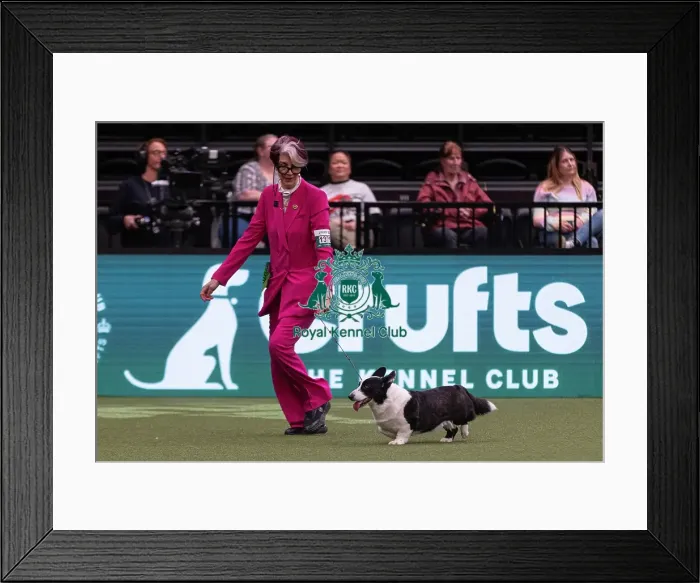 Framed Print : D-C-D-0-1-9-0 Crufts 2024 NEC Birmingham Pastoral Framed Print : D-C-D-0-1-9-0 Crufts 2024 NEC Birmingham Pastoral
