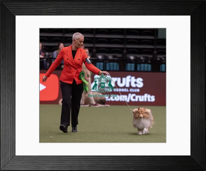 Framed Print : D-C-D-0-1-9-0 Crufts 2024 NEC Birmingham Pastoral Framed Print : D-C-D-0-1-9-0 Crufts 2024 NEC Birmingham Pastoral