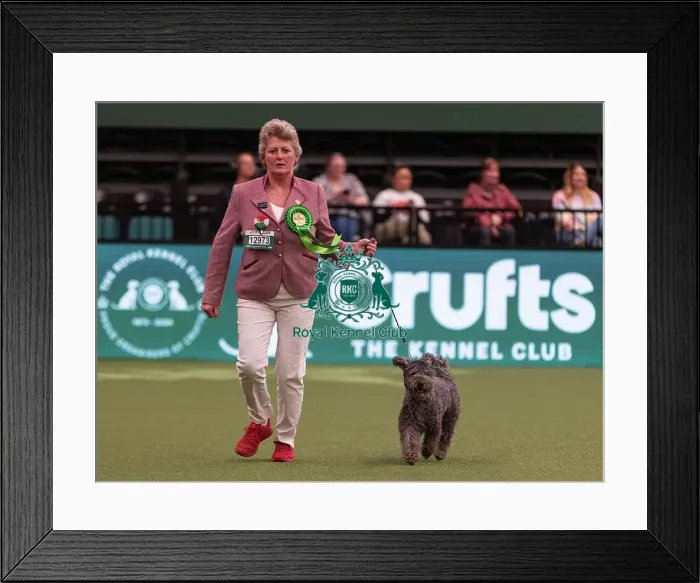 Framed Print : D-C-D-0-1-9-0 Crufts 2024 NEC Birmingham Pastoral Framed Print : D-C-D-0-1-9-0 Crufts 2024 NEC Birmingham Pastoral