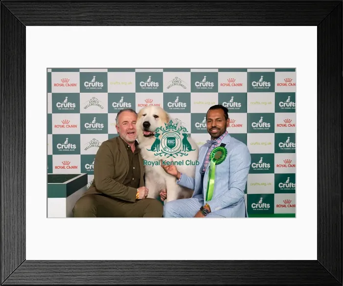 Framed Print : D-C-D-0-1-9-0 Crufts 2024 NEC Birmingham Pastoral