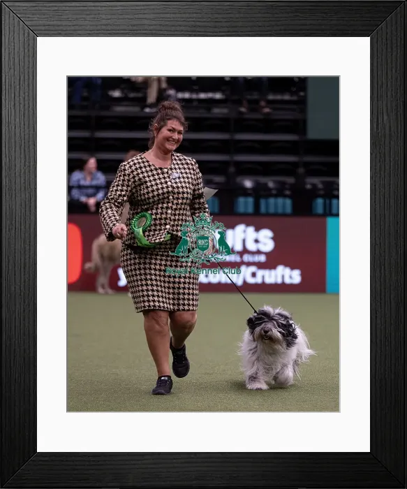 Framed Print : D-C-D-0-1-9-0 Crufts 2024 NEC Birmingham Pastoral Framed Print : D-C-D-0-1-9-0 Crufts 2024 NEC Birmingham Pastoral