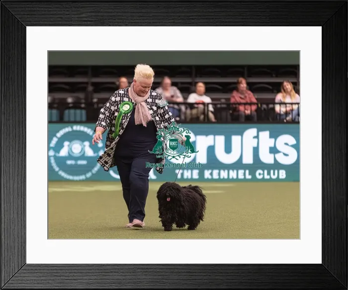 Framed Print : D-C-D-0-1-9-0 Crufts 2024 NEC Birmingham Pastoral Framed Print : D-C-D-0-1-9-0 Crufts 2024 NEC Birmingham Pastoral