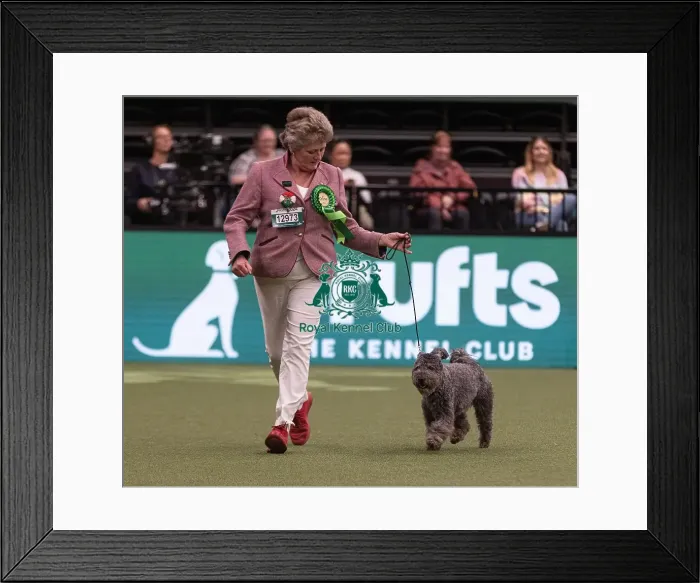Framed Print : D-C-D-0-1-9-0 Crufts 2024 NEC Birmingham Pastoral Framed Print : D-C-D-0-1-9-0 Crufts 2024 NEC Birmingham Pastoral