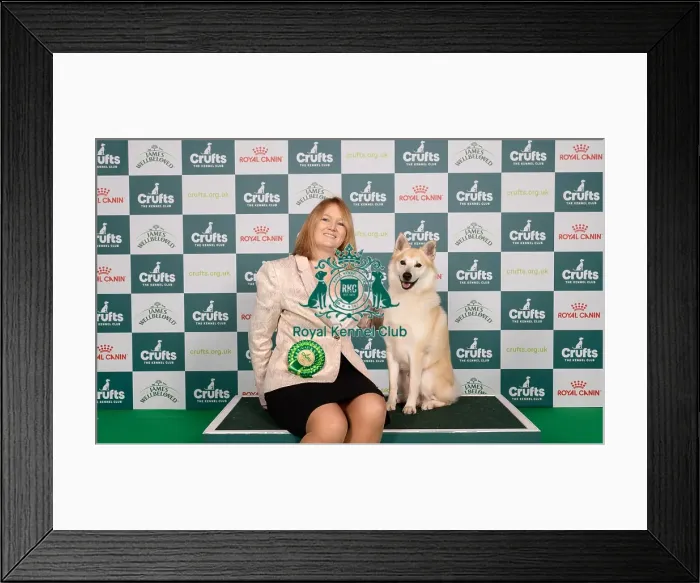 Framed Print : D-C-D-0-1-9-0 Crufts 2024 NEC Birmingham Pastoral Framed Print : D-C-D-0-1-9-0 Crufts 2024 NEC Birmingham Pastoral