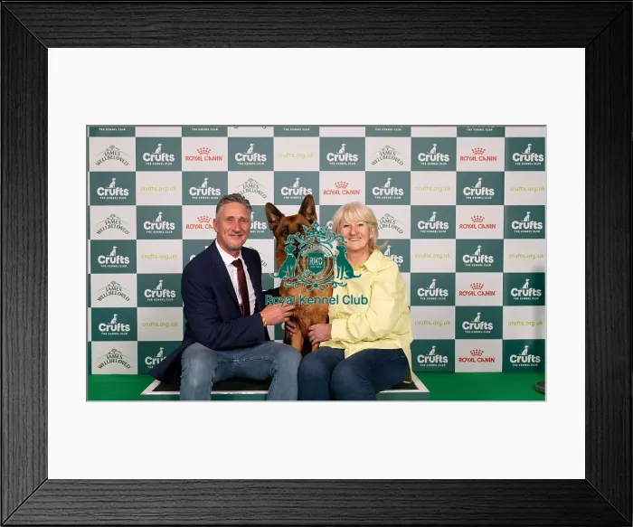 Framed Print : D-C-D-0-1-9-0 Crufts 2024 NEC Birmingham Pastoral