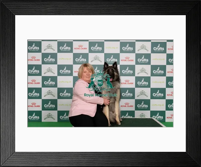 Framed Print : D-C-D-0-1-9-0 Crufts 2024 NEC Birmingham Pastoral Framed Print : D-C-D-0-1-9-0 Crufts 2024 NEC Birmingham Pastoral