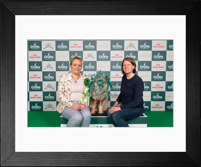 Framed Print : D-C-D-0-1-9-0 Crufts 2024 NEC Birmingham Pastoral Framed Print : D-C-D-0-1-9-0 Crufts 2024 NEC Birmingham Pastoral
