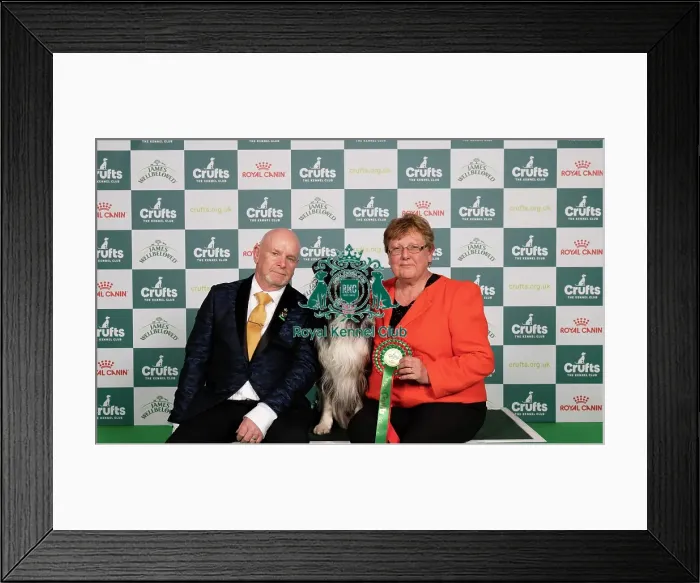Framed Print : D-C-D-0-1-9-0 Crufts 2024 NEC Birmingham Pastoral Framed Print : D-C-D-0-1-9-0 Crufts 2024 NEC Birmingham Pastoral