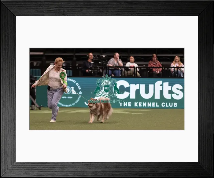 Framed Print : D-C-D-0-1-9-0 Crufts 2024 NEC Birmingham Pastoral Framed Print : D-C-D-0-1-9-0 Crufts 2024 NEC Birmingham Pastoral