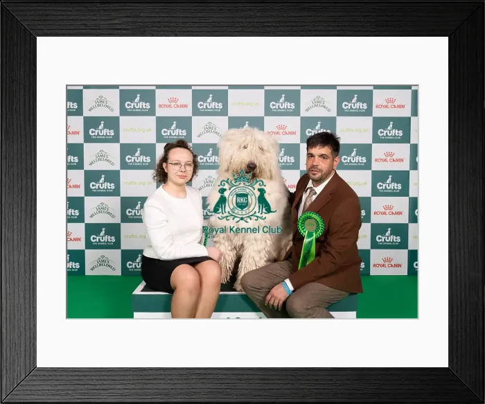 Framed Print : D-C-D-0-1-9-0 Crufts 2024 NEC Birmingham Pastoral