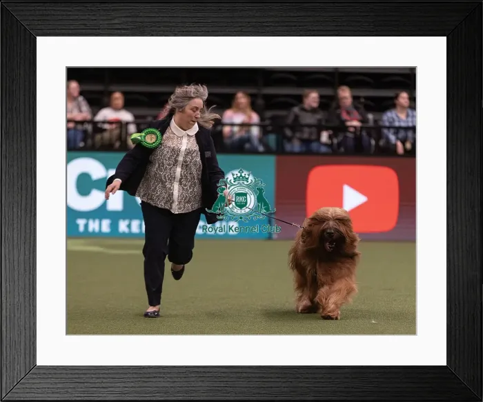 Framed Print : D-C-D-0-1-9-0 Crufts 2024 NEC Birmingham Pastoral Framed Print : D-C-D-0-1-9-0 Crufts 2024 NEC Birmingham Pastoral