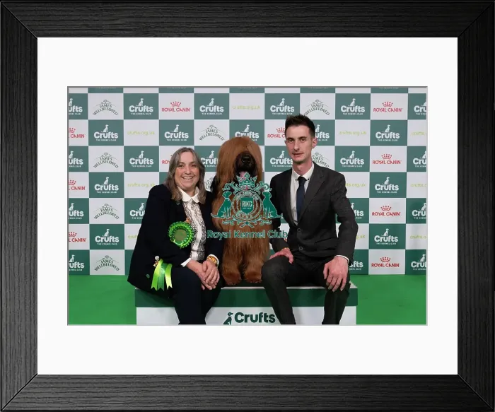 Framed Print : D-C-D-0-1-9-0 Crufts 2024 NEC Birmingham Pastoral Framed Print : D-C-D-0-1-9-0 Crufts 2024 NEC Birmingham Pastoral