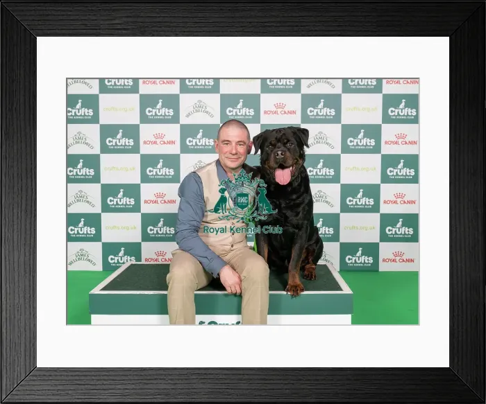 Framed Print : D-C-D-0-1-9-0 Crufts 2024 NEC Birmingham Working