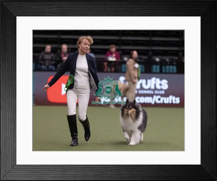 Framed Print : D-C-D-0-1-9-0 Crufts 2024 NEC Birmingham Pastoral Framed Print : D-C-D-0-1-9-0 Crufts 2024 NEC Birmingham Pastoral